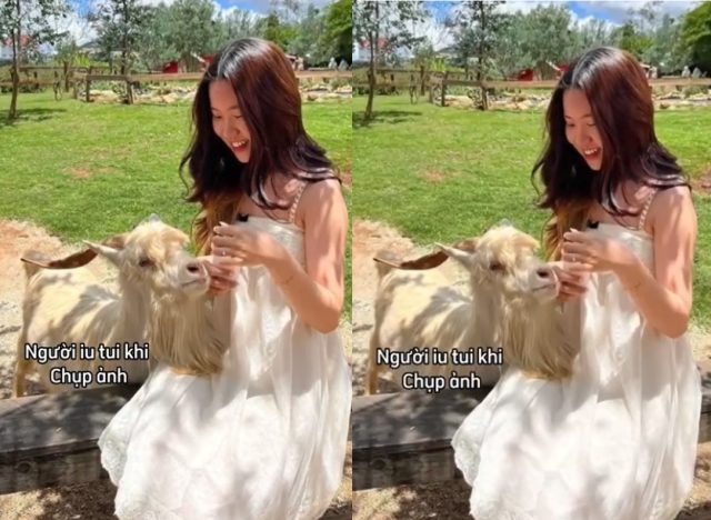 Tiểu thư từ bỏ tất cả yêu anh chim to khiến em quỳ gối bú cu anh sâu họng. Em tiểu thư cởi bỏ hết quần áo sang trọng, lồn múp ướt nhẹp van xin anh địt mạnh bạo, em rên la dâm đãng “Em từ bỏ tất cả chỉ để yêu chim to của anh”.